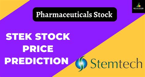 Stek Stock Price Prediction 2025